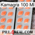 Kamagra 100 Ml 27
